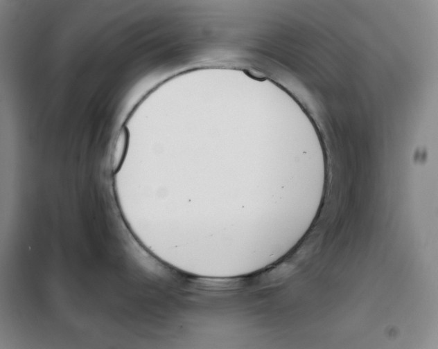 X0000101391344200808041008