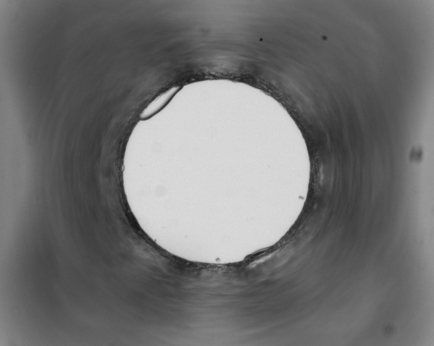 X0000101391345200808041007