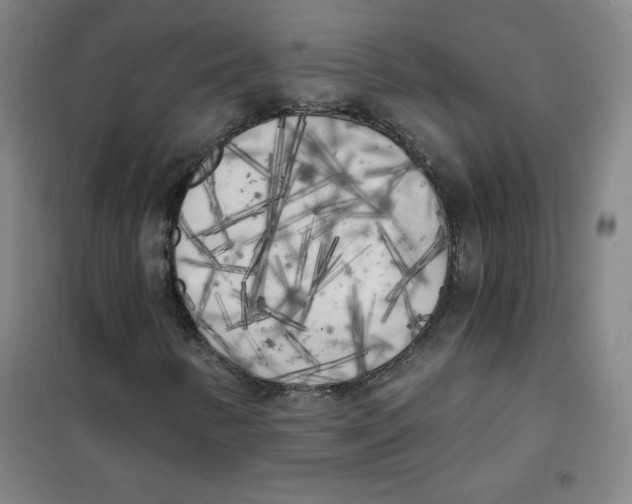 X0000101391346200808041007