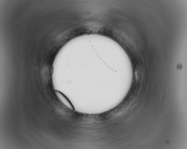 X0000101391347200808041007