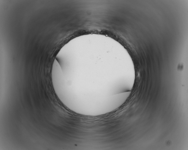 X0000101391348200808041007