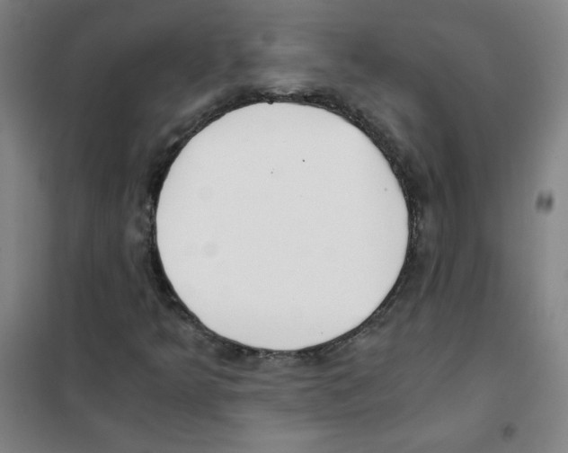 X0000101391349200808041007