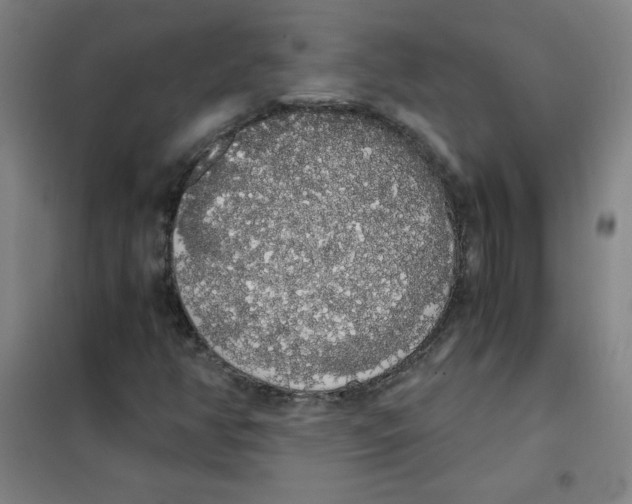X0000101391350200808041007