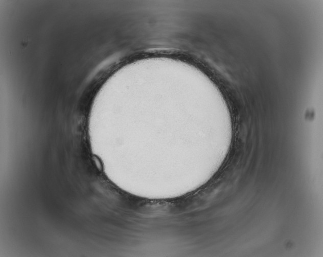 X0000101391351200808041007
