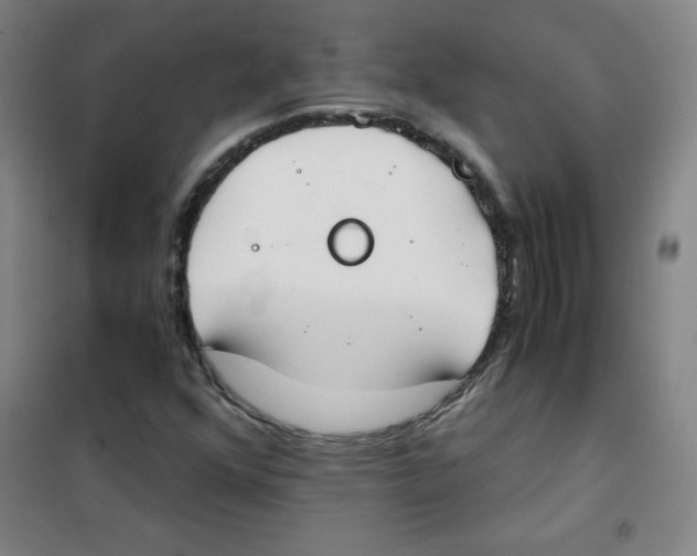 X0000101391352200808041007