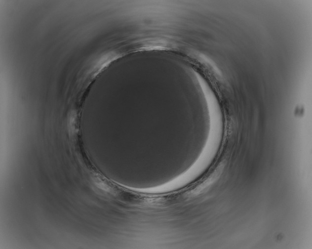 X0000101391353200808041007