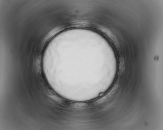 X0000101391354200808041007
