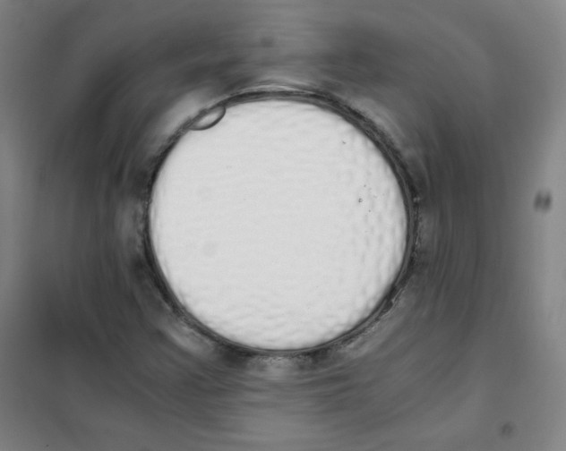 X0000101391355200808041007