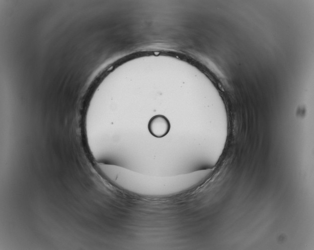 X0000101391356200808041007