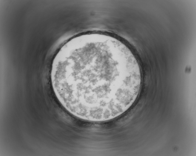X0000101391359200808041007