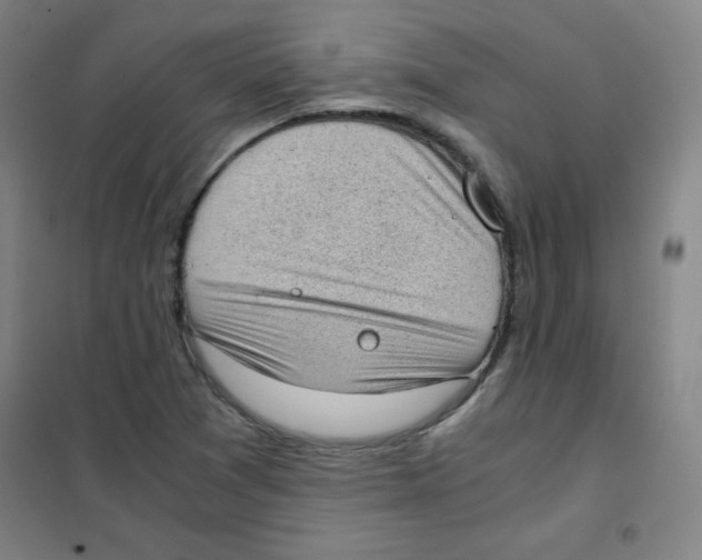X0000101391361200808041007
