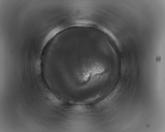 X0000101391362200808041007