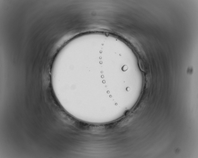 X0000101391363200808041007