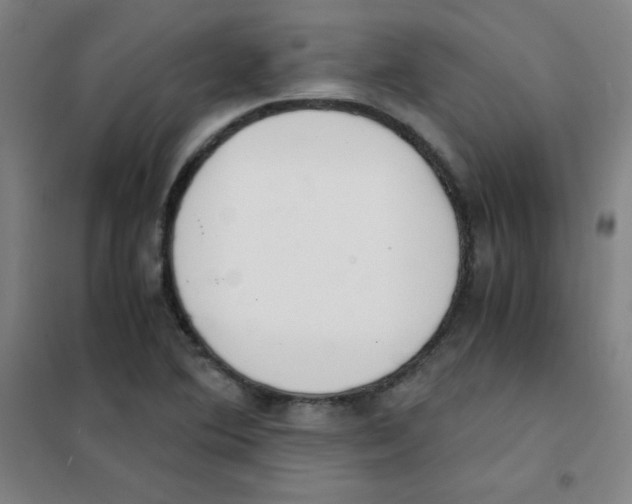 X0000101391364200808041007