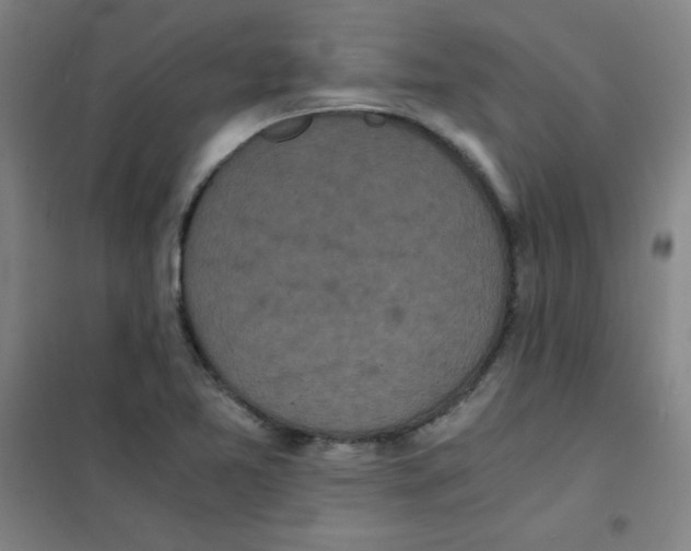 X0000101391365200808041007