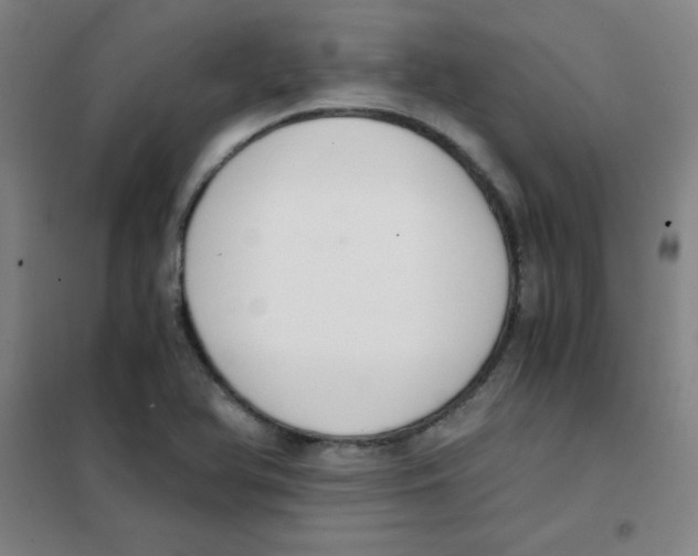 X0000101391366200808041007