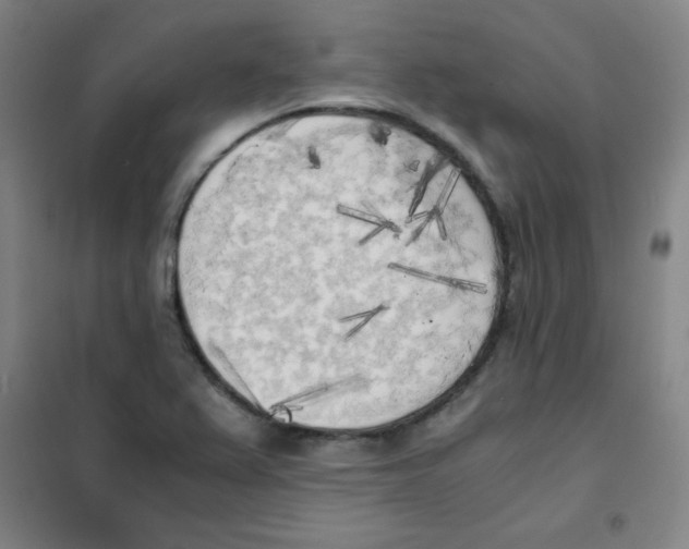 X0000101391367200808041007
