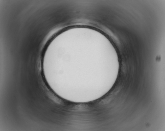X0000101391368200808041007