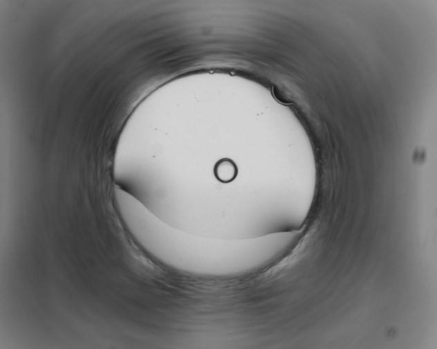 X0000101391369200808041007
