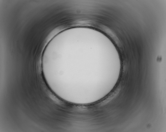 X0000101391370200808041007