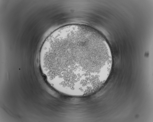 X0000101391371200808041007