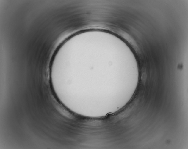 X0000101391372200808041007
