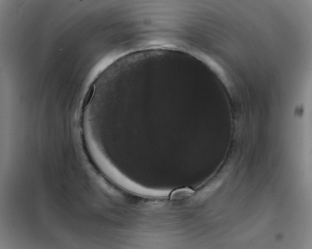 X0000101391373200808041007