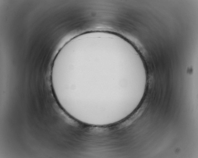 X0000101391374200808041007
