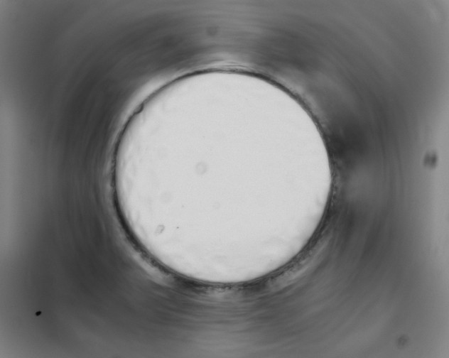 X0000101391375200808041007