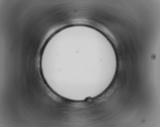 X0000101391376200808041007