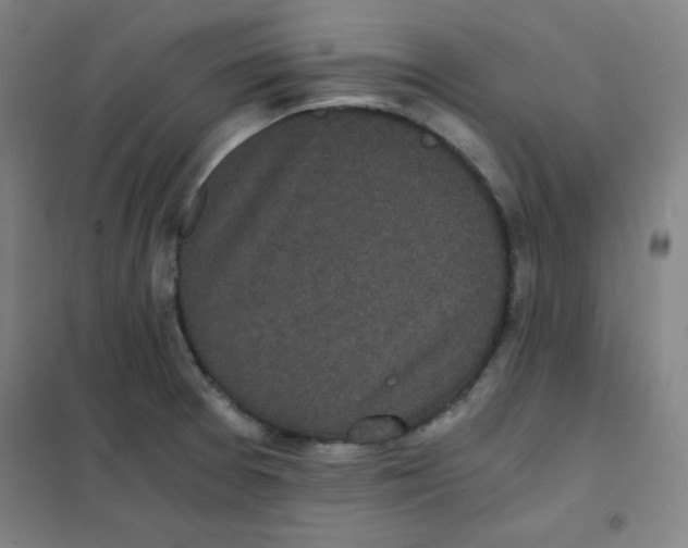 X0000101391377200808041007