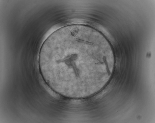 X0000101391378200808041007