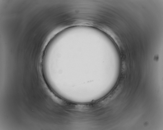 X0000101391379200808041007