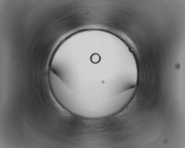 X0000101391380200808041007