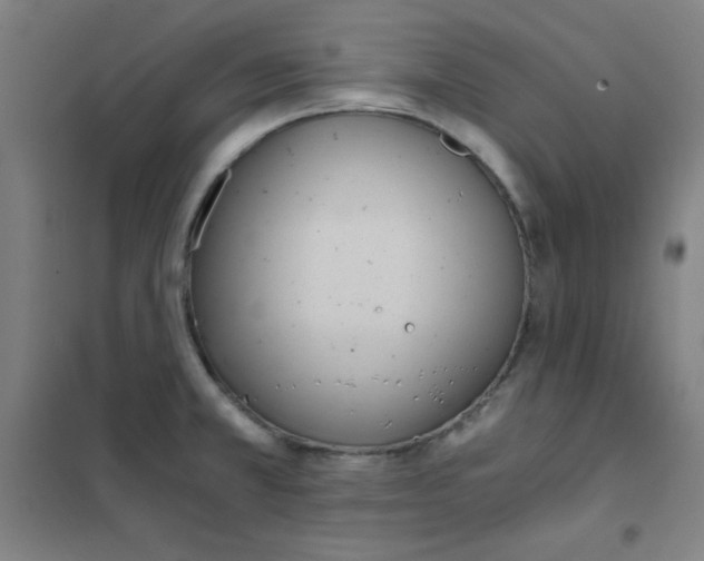 X0000101391381200808041007