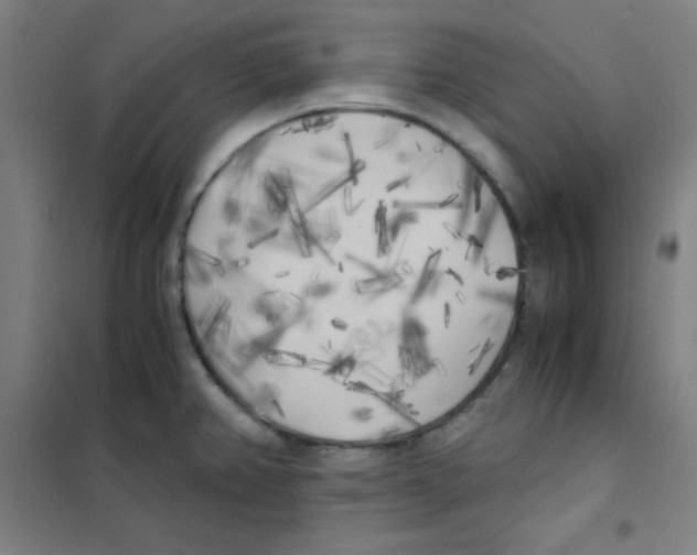 X0000101391382200808041007