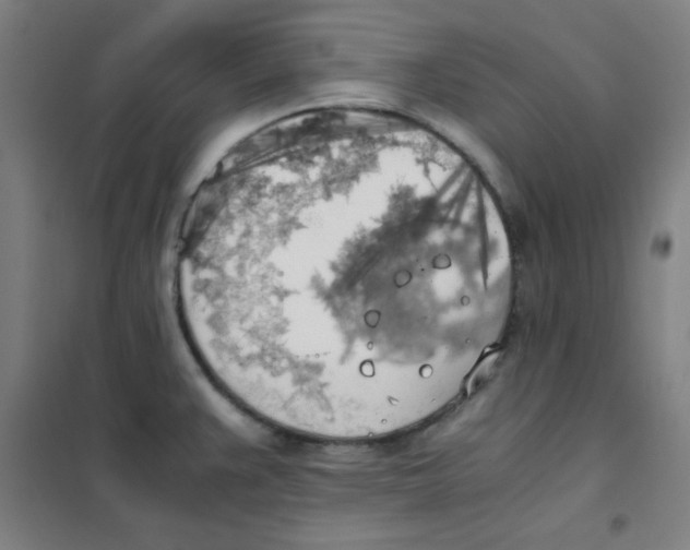 X0000101391383200808041007