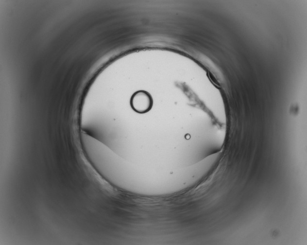X0000101391384200808041007
