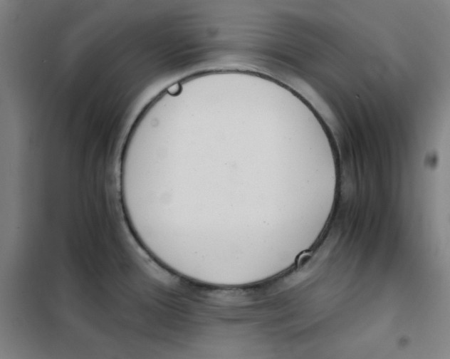 X0000101391388200808041007