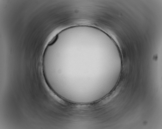 X0000101391389200808041007