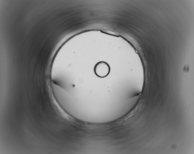 X0000101391392200808041007