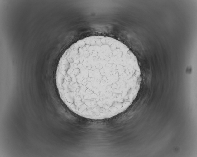 X0000101391393200808041006