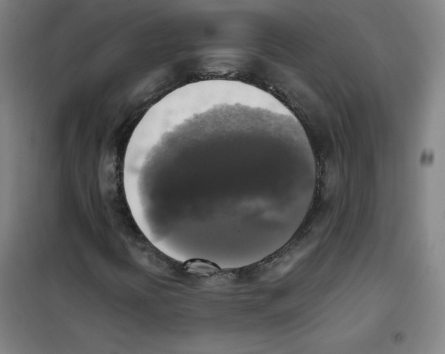 X0000101391394200808041006