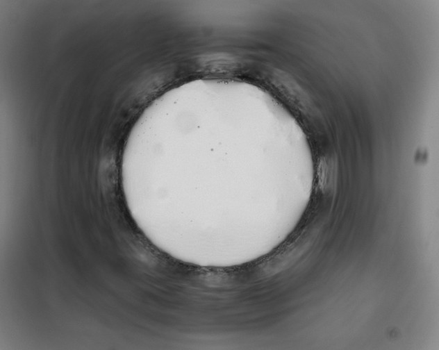 X0000101391395200808041006