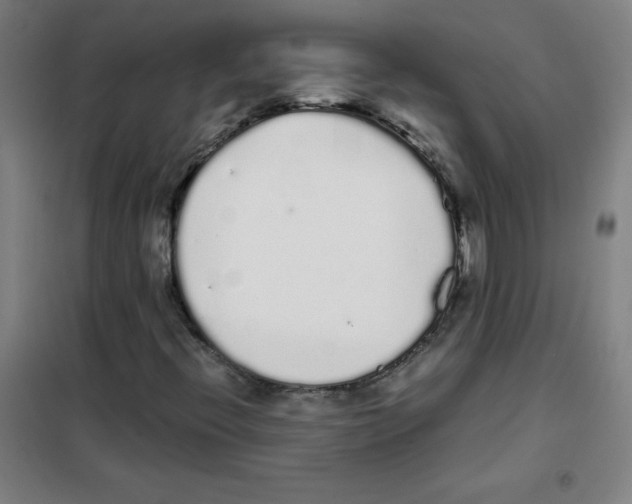 X0000101391396200808041006