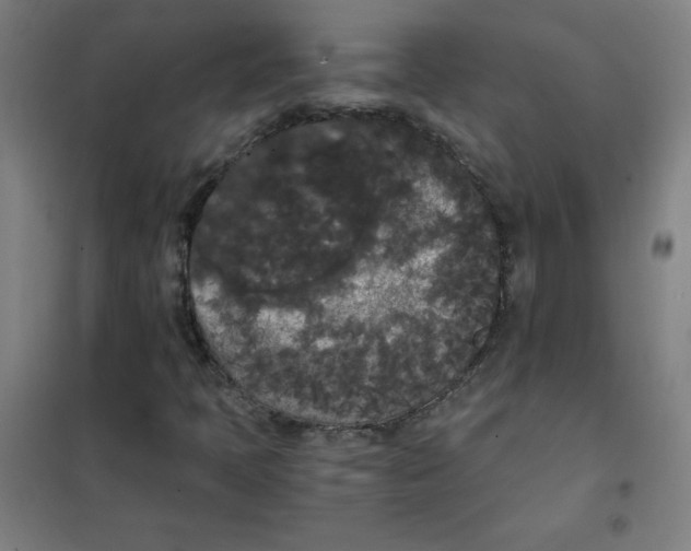 X0000101391397200808041006