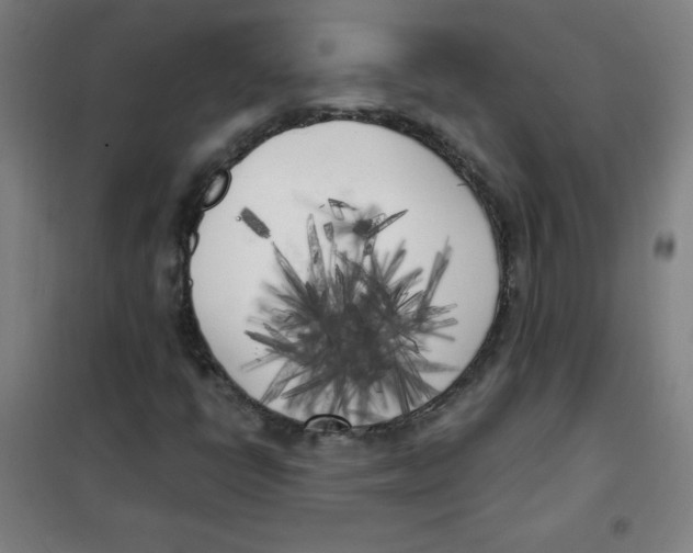 X0000101391398200808041006