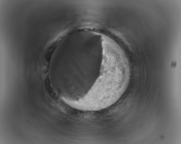 X0000101391399200808041006