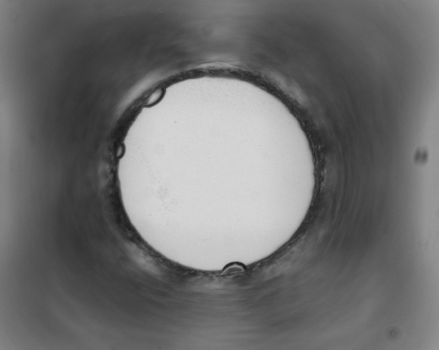 X0000101391400200808041006