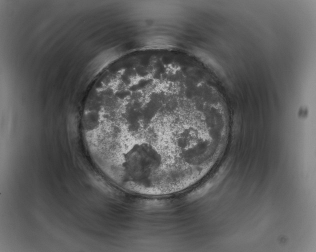 X0000101391401200808041006
